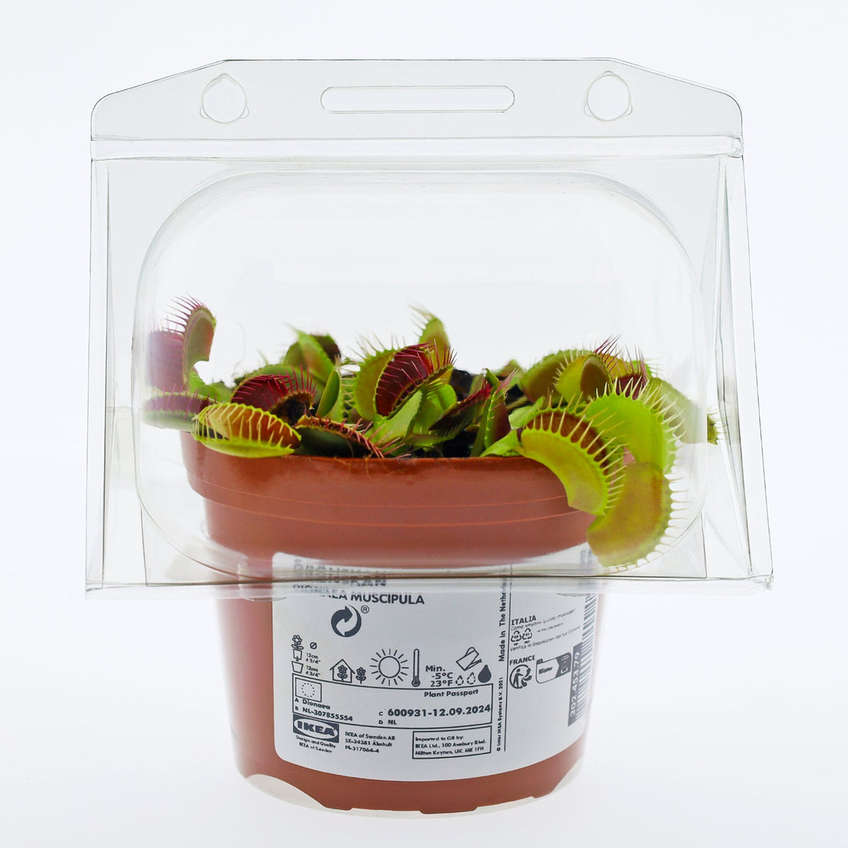 Borsa per contenere 1 pianta in un vaso KUMA ø12cm.