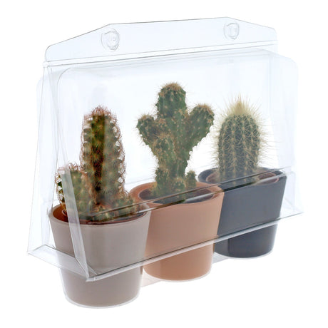 Confezione per trasporto per contenere 3 piante in un vaso KUMA ø6,5 cm o in un vaso decorativo in ceramica (ø6,8 cm) - Cartone da 500 pz