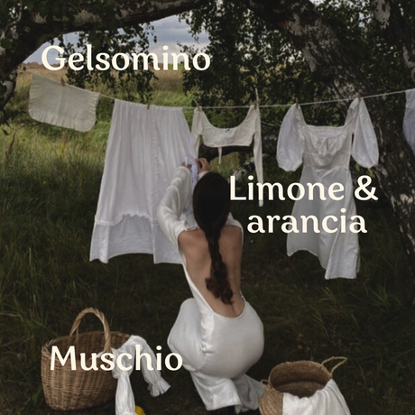 Fresco Bucato - Note olfattive del profumatore per bucato Olimpiahome