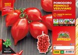 Pomodoro Piennolo Vesuviano in piante - 2 formati disponibili