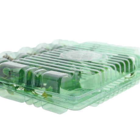 Pacco per ordine postale per 5 tappi ø45x50mm - Confezione da 300 pz