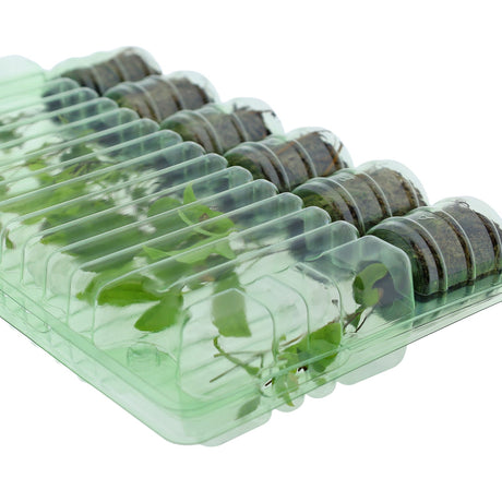Pacco per ordine postale per 6 tappi ø38x50mm - Confezione da 200 pz
