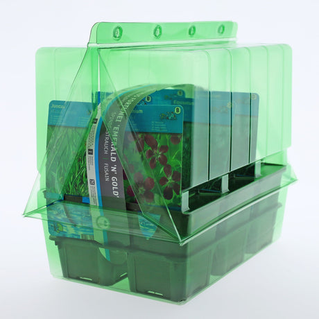 Pacco per ordine per corrispondenza contenente 6 piante (2x3) in vasi di 9x9x10 cm (opzione alternativa: pacco di sei piante acquatiche Moerings con etichette e maniglia per il trasporto) - Confezione da 125 pz