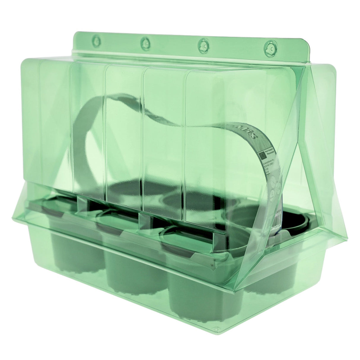 Pacco per ordine postale per un vassoio per piante Desch 36200 (275x180x75mm) per 6 vasi rotondi da 9 cm.