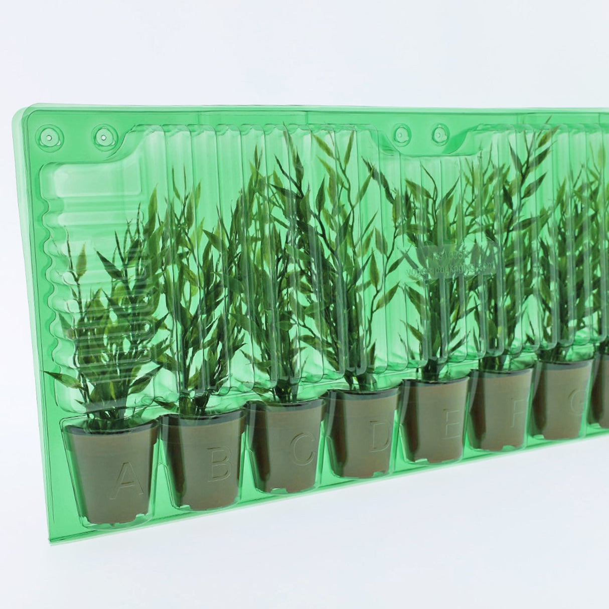 Pacco per ordine per 9 vasi o contenitori ø55x55mm (conico).