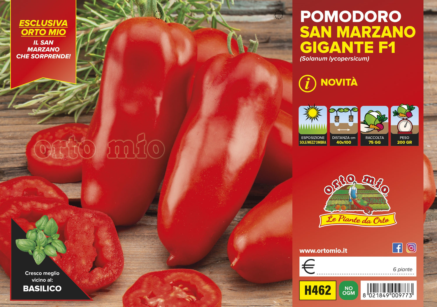 Piante di Pomodoro San Marzano gigante Grison F1 - Orto Mio