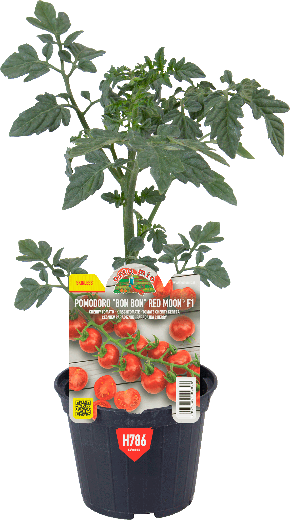 Pomodoro Cherry Bon Bon senza buccia F1