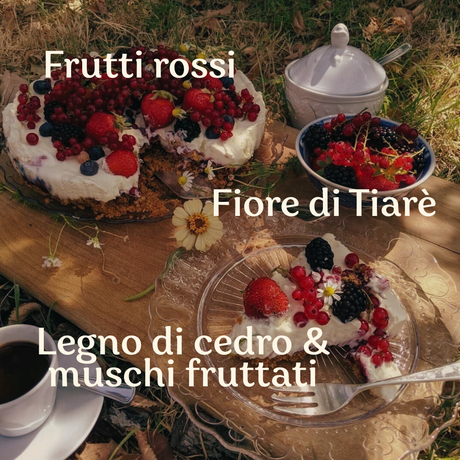 Tiarè & Frutti Rossi - Note olfattive del profumatore per bucato Olimpiahome