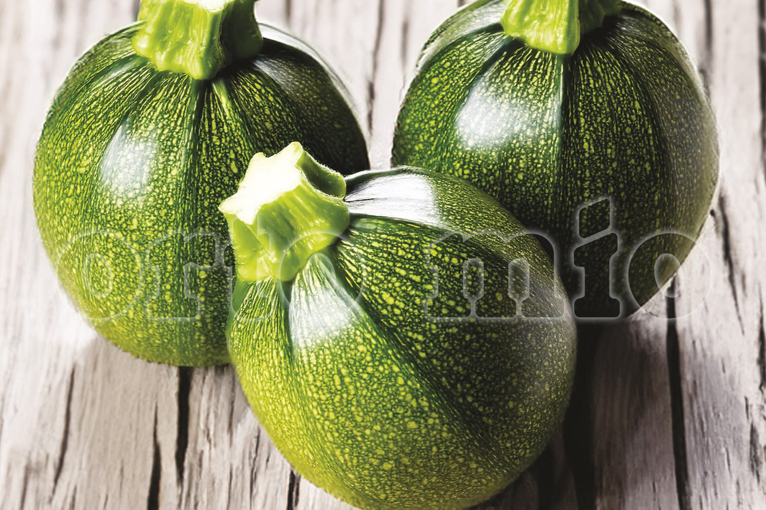 Zucchino Tondo scuro var. Jupiter F1 (resistente a virus e Oidio) - vaschetta 4 piante - Orto Mio