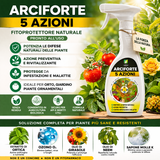 Arciforte Insetticida e Fungicida spray pronto all'uso 750 ml