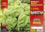 Lettuce Leaf Basil - 1 plant v.10 cm - Orto Mio