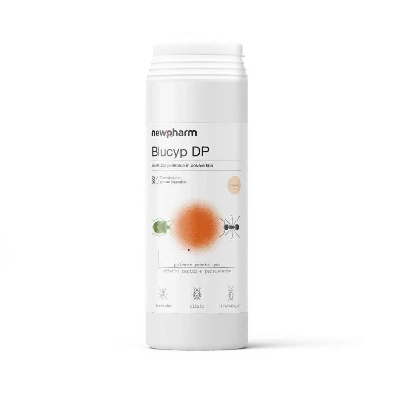 Insetticida polvere contro formiche e altri insetti Blucyp DP