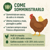 Orzo intero in acini per Polli e Galline