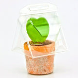 Borsa per trasportare 1 pianta (Valentine Hoya; a forma di cuore) in un vaso KUMA ø8,5cm.