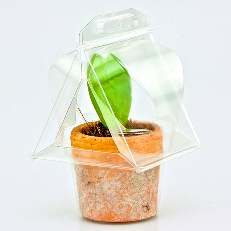 Borsa per trasportare 1 pianta (Valentine Hoya; a forma di cuore) in un vaso KUMA ø8,5cm - Confezione da 800 pz