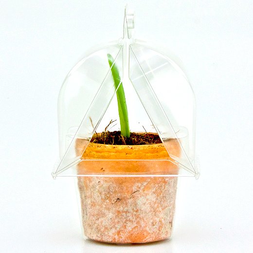 Borsa per trasportare 1 pianta (Valentine Hoya; a forma di cuore) in un vaso KUMA ø8,5cm.