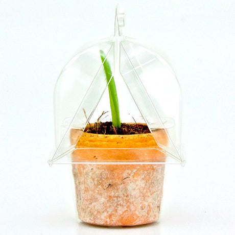 Borsa per trasportare 1 pianta (Valentine Hoya; a forma di cuore) in un vaso KUMA ø8,5cm - Confezione da 800 pz
