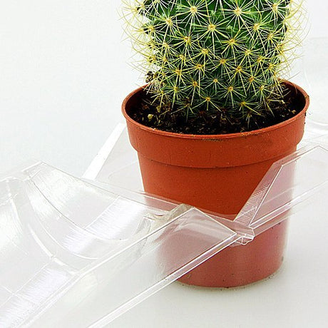 Confezione per contenere 1 pianta in un vaso KUMA ø5,5cm - Cartone da 1.350 pz