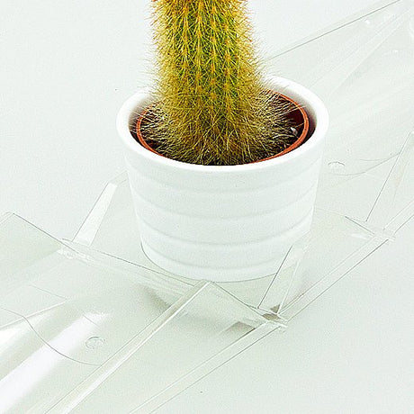 Confezione per contenere 1 pianta in un vaso KUMA ø6,5cm o in un vaso decorativo in ceramica (ø6,8cm) - Cartone da 800 pz
