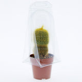 Confezione per trasporto per contenere 1 pianta in un vaso KUMA ø8,5cm.