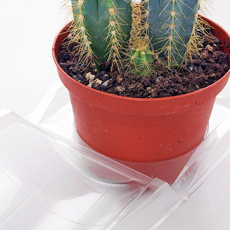 Confezione per trasporto per contenere 1 pianta in un vaso KUMA ø10,5 cm - Cartone da 400 pz