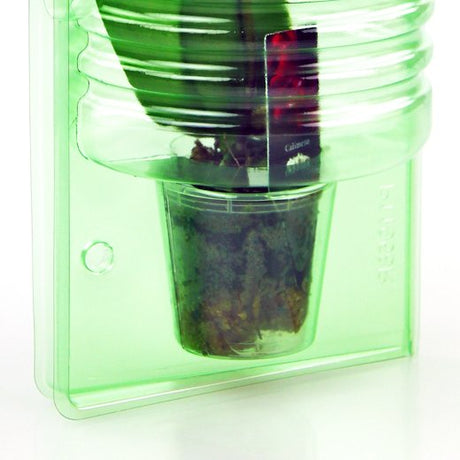 Pacco per ordine per corrispondenza per 1 pianta in un vaso di ø60x60mm - Confezione da 200 pz