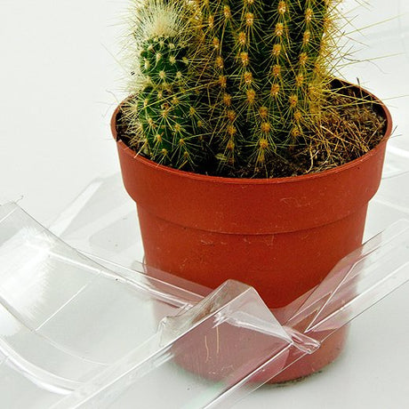 Confezione per trasportare 1 pianta in un vaso KUMA ø8,5cm - Cartone da 500 pz