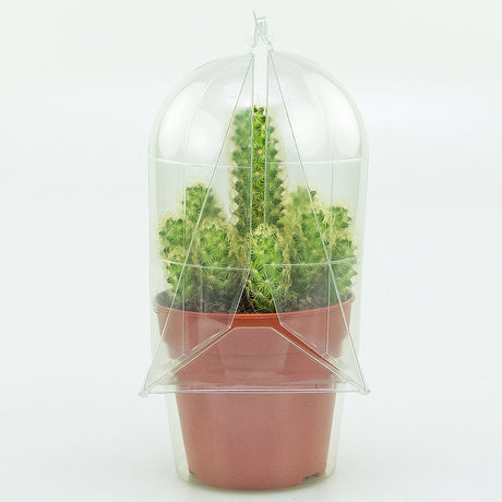 Confezione per trasportare 1 pianta in un vaso KUMA ø12cm - Cartone da 300 pz