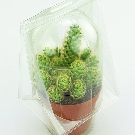 Confezione per trasportare 1 pianta in un vaso KUMA ø12cm - Cartone da 300 pz