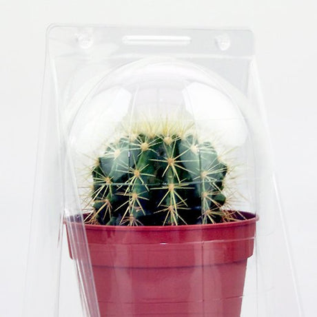Confezione per contenere 1 pianta in un vaso KUMA ø12cm - Cartone da 300 pz