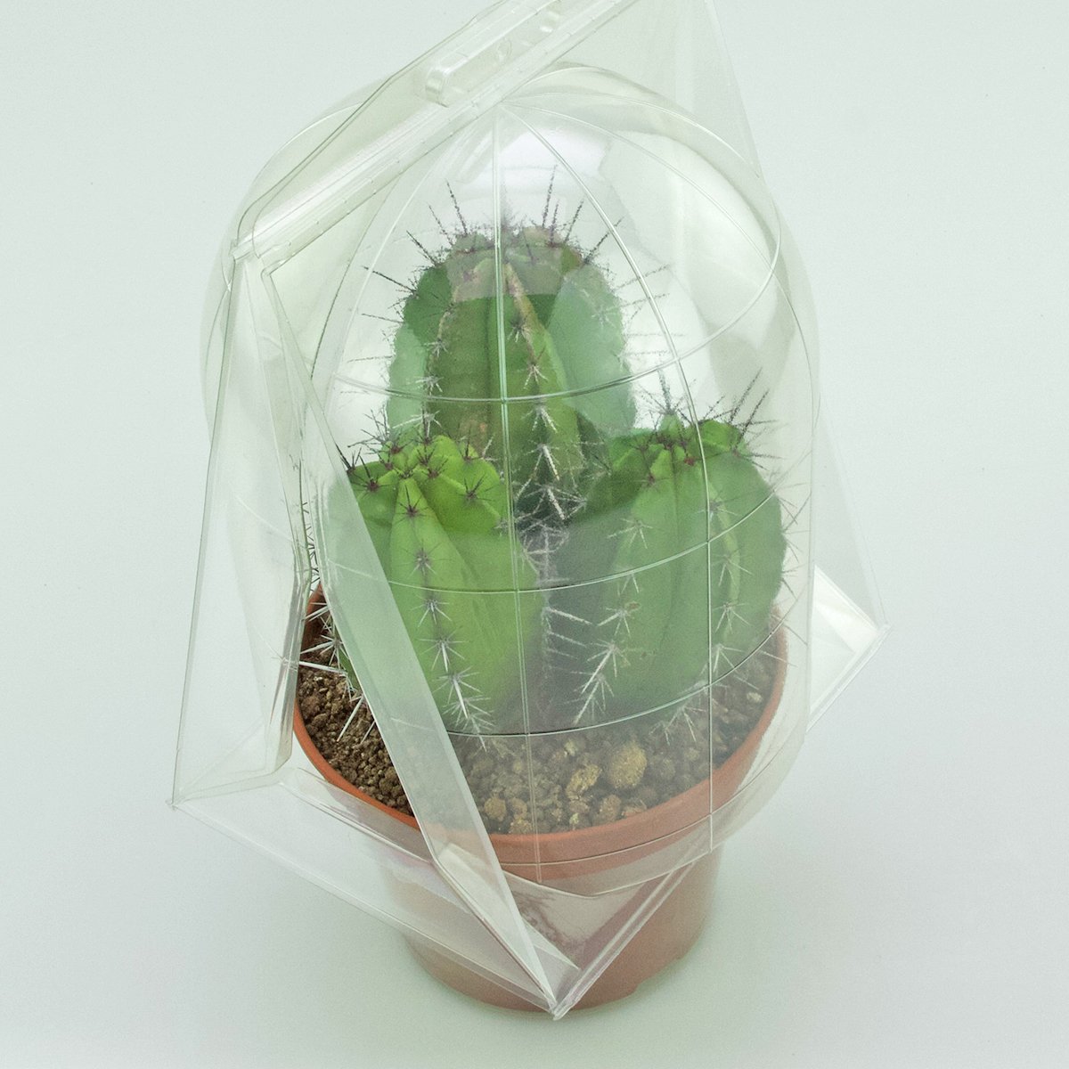 Confezione per trasportare 1 pianta in un vaso KUMA ø15 cm.