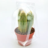 Confezione per trasportare 1 pianta in vaso di ø14-15 cm.