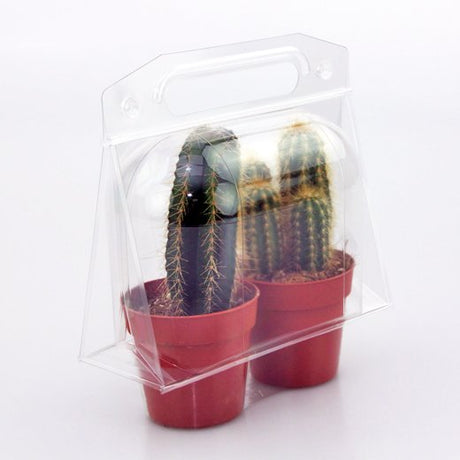Confezione per trasportare 2 piante in vasi KUMA ø8,5cm - Cartone da 225 pz