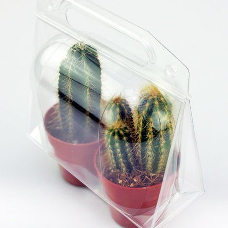 Confezione per trasportare 2 piante in vasi KUMA ø8,5cm - Cartone da 225 pz