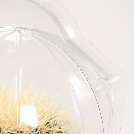 Confezione per 1 pianta in un vaso o piatto di ø21x11cm - Cartone da 50 pz