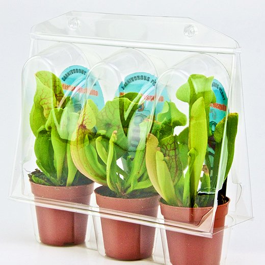 Confezione per trasportare 3 piante in vaso di ø6,5 cm.