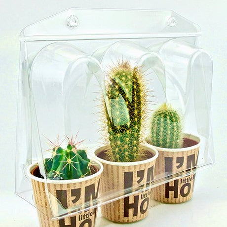 Confezione per trasportare 3 piante in vaso di ø6,5 cm - Cartone da 500 pz