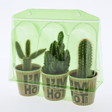 Confezione per trasportare 3 piante in vaso di ø6,5 cm - Cartone da 500 pz