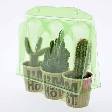 Confezione per trasportare 3 piante in vaso di ø6,5 cm - Cartone da 500 pz
