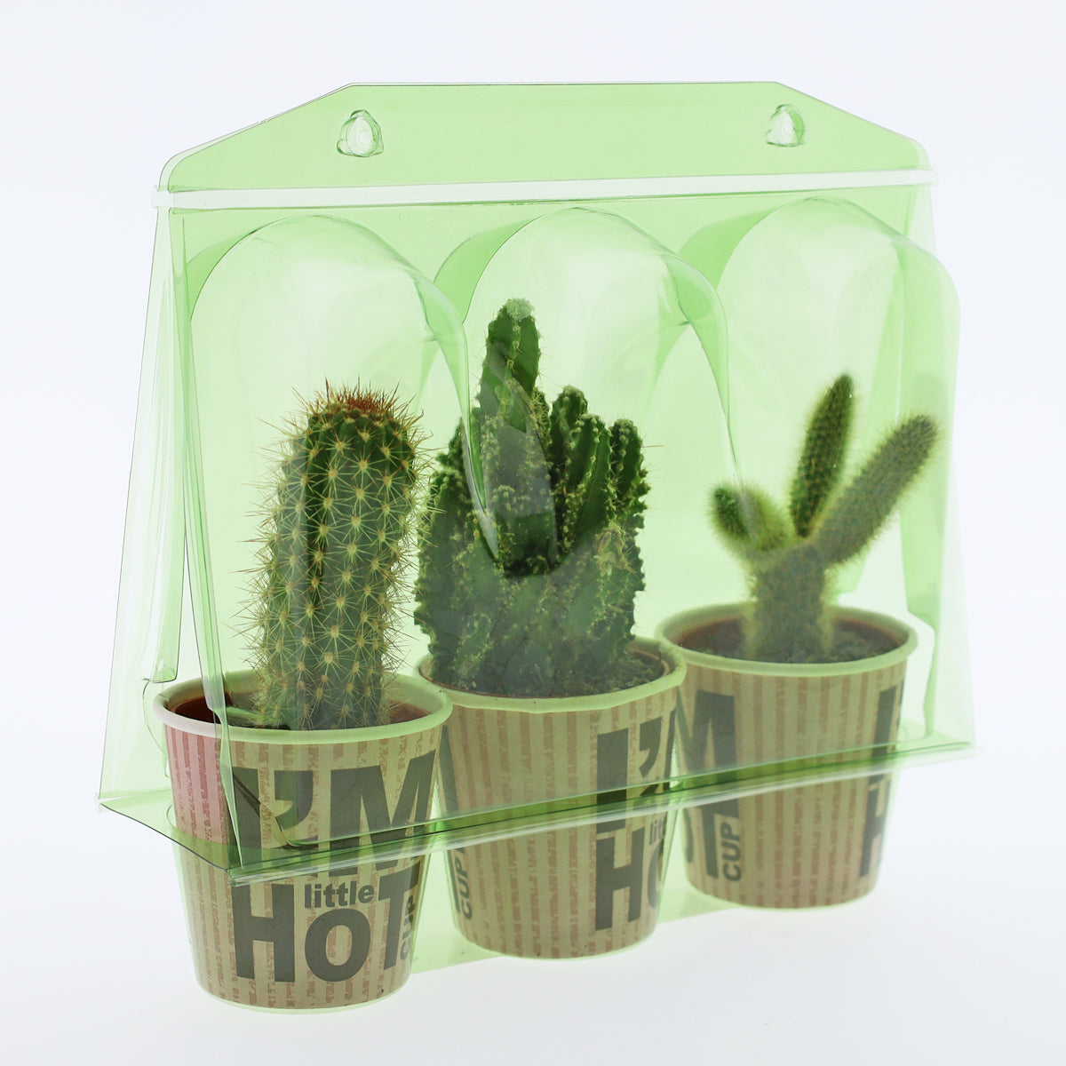 Confezione per trasportare 3 piante in vaso di ø6,5 cm.