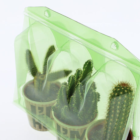 Confezione per trasportare 3 piante in vaso di ø6,5 cm - Cartone da 500 pz