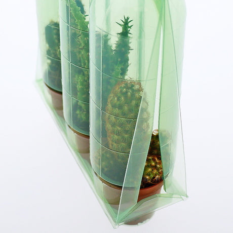 Confezione per trasportare 3 piante in vasi KUMA ø5,5cm - Cartone da 500 pz