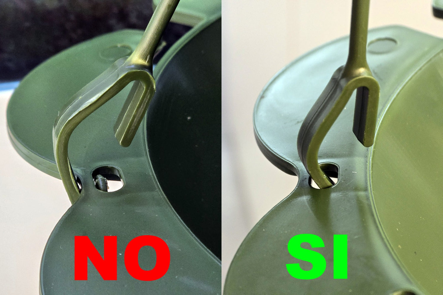 New Insights In Japonica Life - IPM Blog - IPM - Foto 4