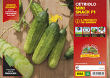 Piante di Cetriolo Snack varietà Prymus F1 - Orto Mio