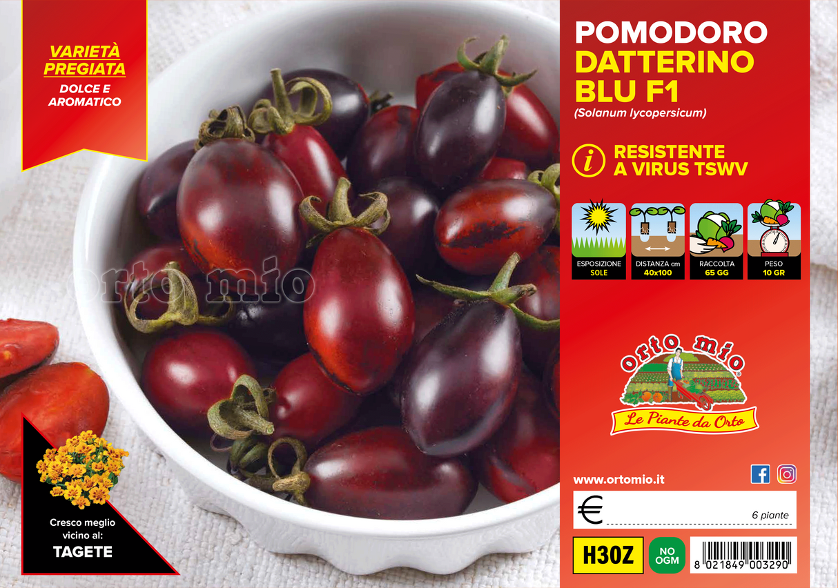 Pomodoro Datterino (da palo) Blu var. Candy F1 - 2 formati disponibili
