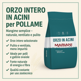 Orzo intero in acini per Polli e Galline