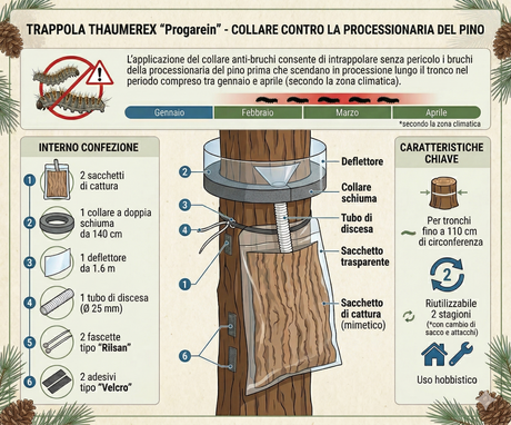 Trappola Processionaria del Pino a collare per 2 stagioni