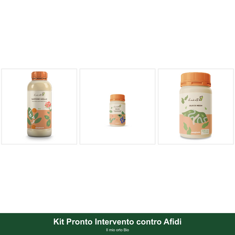 Kit Pronto Intervento contro Afidi - Il mio orto Bio