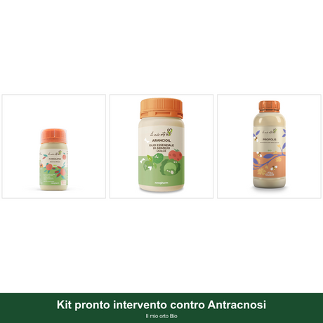 Kit pronto intervento contro Antracnosi - Il mio orto Bio