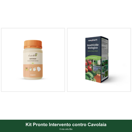 Kit Pronto Intervento contro Cavolaia - Il mio orto Bio